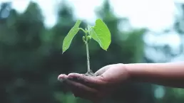 international sustainability standards board