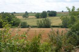 Patchwork of farm fields in the English countryside in summer