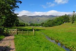 Middle Fell Farm in the Langdale Valley, Cumbria